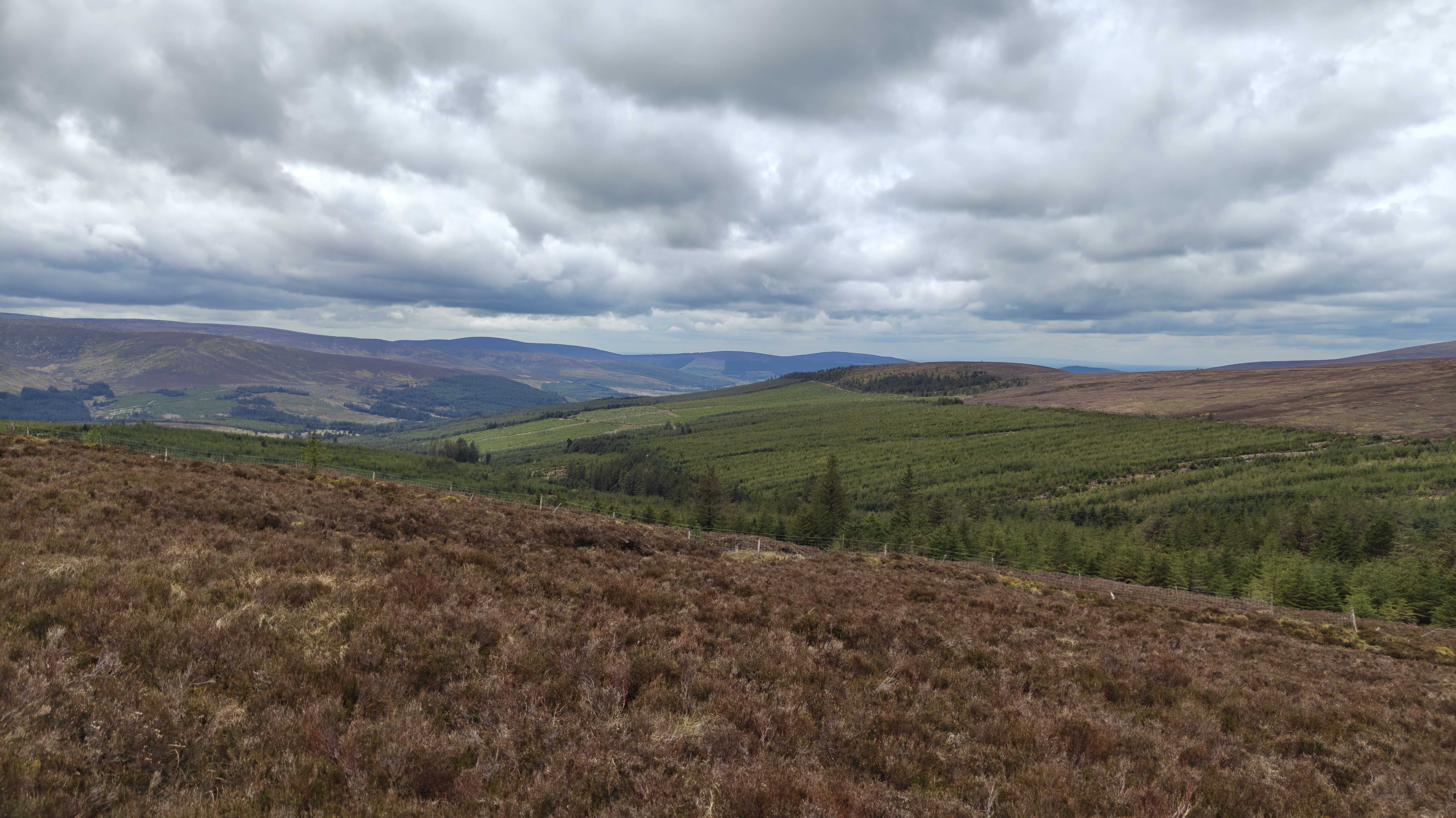 Irish peatland landscape
